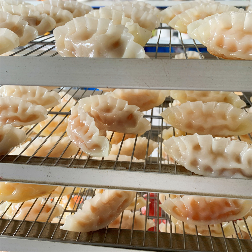 Steamed Dumpling with Meat Veg - Food Snacks Order recensie en prijs
